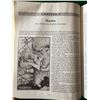 Image 19 : Guns of the Wild West / The Trapper’s Bible / The Treasury of Sporting Guns