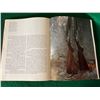 Image 33 : Guns of the Wild West / The Trapper’s Bible / The Treasury of Sporting Guns