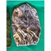 Image 9 : Lot of 3 Camo Hunting Face Masks