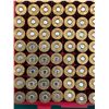 Image 5 : 357 Mag Reloaded Ammunition with Cases