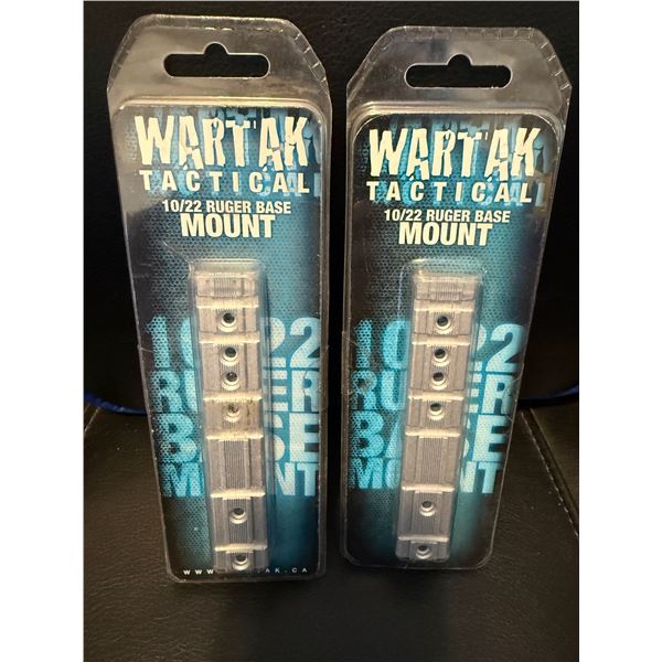 Ruger 10/22 Base Mounts