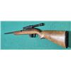 Image 5 : Winchester M77 Semi-Auto .22 Cal Rifle