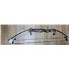 Image 2 : Vintage Allen Compound Bow
