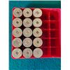 Image 3 : 12 Ga Eley Slugs in Hard Plastic Case