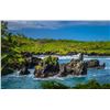 Image 10 : Island Hopping in Hawaiian Paradise