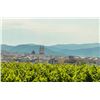 Image 2 : Luxury Spanish Villa & Wine Escape for Eight