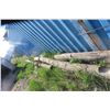 Image 6 : Telephone Poles, 15' to 20' – Qty 10