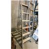 Image 3 : 24 FT ALUMINUM EXTENSION LADDER & 6 FT ALUMINUM LADDER