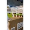 Image 3 : MIXED ITEMS INCL BIOFISH 3-1-2+1S LIQUID ORGANIC PLANT FERTILIZER 1KG ~50PKS 12/PK AND HEALTHY