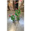 Image 2 : CACTUS WITH FLOWERS 3-PIECE SET GARDEN SCULPTURES