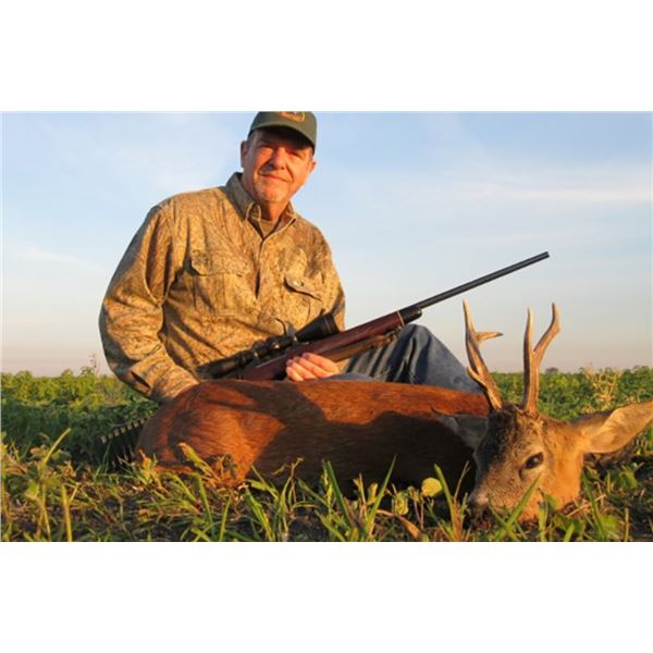 Roe Deer Hunt - Serbia