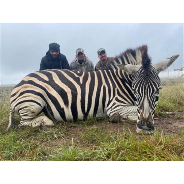 7 Day Plains Game Hunt - Zimbabwe