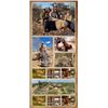 Image 2 : 7 Day Plains Game Hunt - Zimbabwe