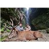 Image 1 : Stag Hunt up to 350" SCI - New Zealand