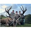 Image 2 : Stag Hunt up to 350" SCI - New Zealand
