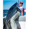Image 3 : 10Hr Offshore Fishing - Louisiana