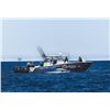 Image 4 : 10Hr Offshore Fishing - Louisiana