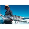 Image 1 : 12Hr Offshore Fishing - Texas
