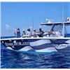 Image 4 : 12Hr Offshore Fishing - Texas