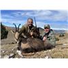 Image 2 : Spain Adventure & Chamois Hunting