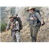 Image 4 : Spain Adventure & Chamois Hunting