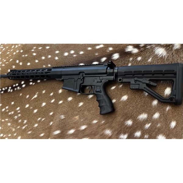 One of a kind, Veteran Built AR 10 Chambered in .308 with Texas Flag!