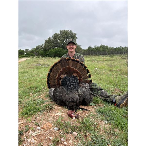 Rio Grande Turkey Hunt - Texas