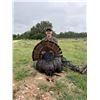 Image 1 : Rio Grande Turkey Hunt - Texas