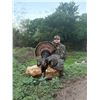 Image 2 : Rio Grande Turkey Hunt - Texas