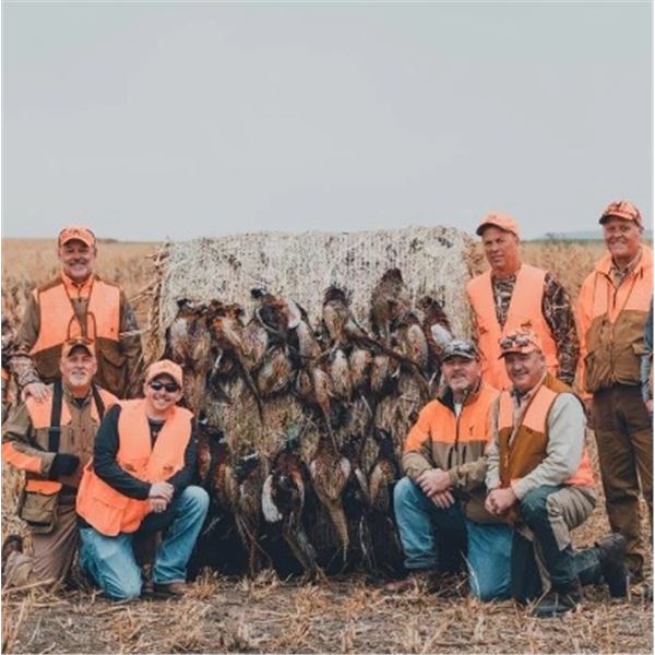 Pheasant Hunt for 4 - South Dakota