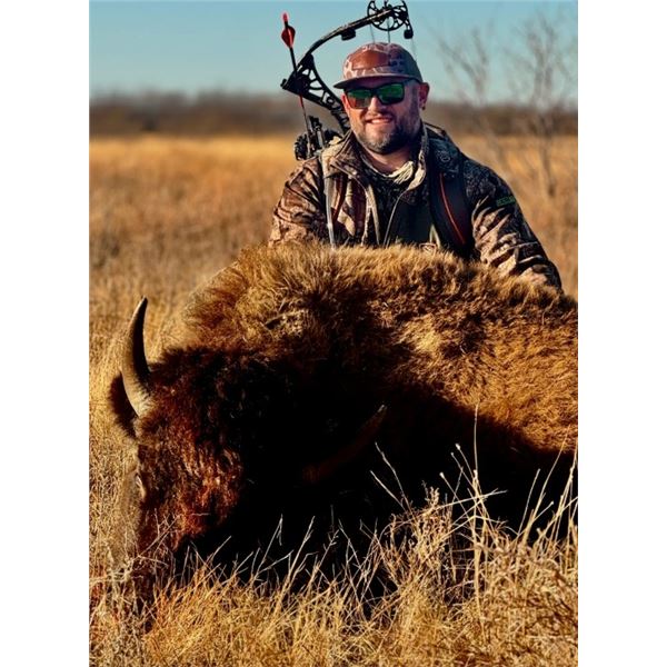 Bison Cow Meat Hunt - Texas