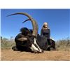 Image 1 : 7-day South African Safari with Numzaan Safaris