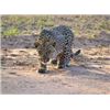 Image 1 : 7-day Photo Safari with Kido - Kwazulu-Natal
