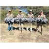 Image 1 : 4-day Pigeon and Doves with Argentina Wing Shooting