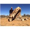 Image 1 : Limpopo SA 10-day with Watts Trophy Hunting