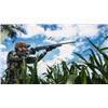 Image 1 : 6-hunter Dove Hunt with Sierra Brava - Argentina