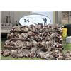 Image 1 : Pheasant Hunt for 10 hunters with Caviness Cattle and Quail
