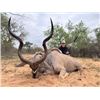 Image 1 : Limpopo, SA 4 Hunters for 7 days with Diekie Muller Safaris