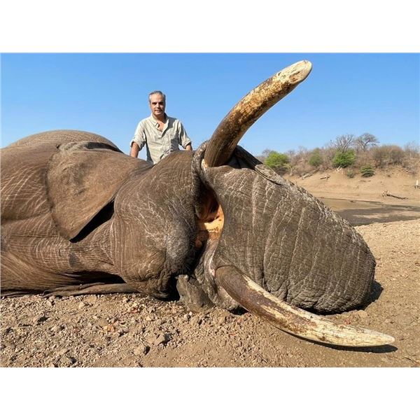 7-day Exportable Elephant with Victoria Falls Safaris