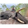 Image 2 : 7-day Exportable Elephant with Victoria Falls Safaris