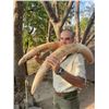 Image 3 : 7-day Exportable Elephant with Victoria Falls Safaris