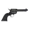 Image 5 : EIG Buffalo Scout .22LR