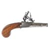 Image 8 : Prevoteau Fils French Artillery Officer's Pocket Pistols w/Case