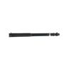 Image 5 : Flobert 6mm Parlor Pistol