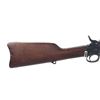 Image 5 : Remington Rolling Block Rifle