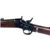 Image 8 : Remington Rolling Block Rifle