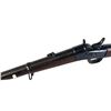 Image 9 : Remington Rolling Block Rifle