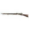 Image 1 : Swiss Vetterli Repetiergewehr M1871 10.35x47 Rifle