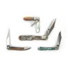 Image 1 : (4) Case Brand Pocket Knives Lot
