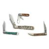 Image 2 : (4) Case Brand Pocket Knives Lot